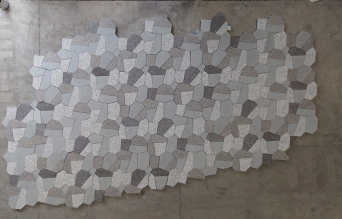 Mixed Color Irregular Shaped Pavers